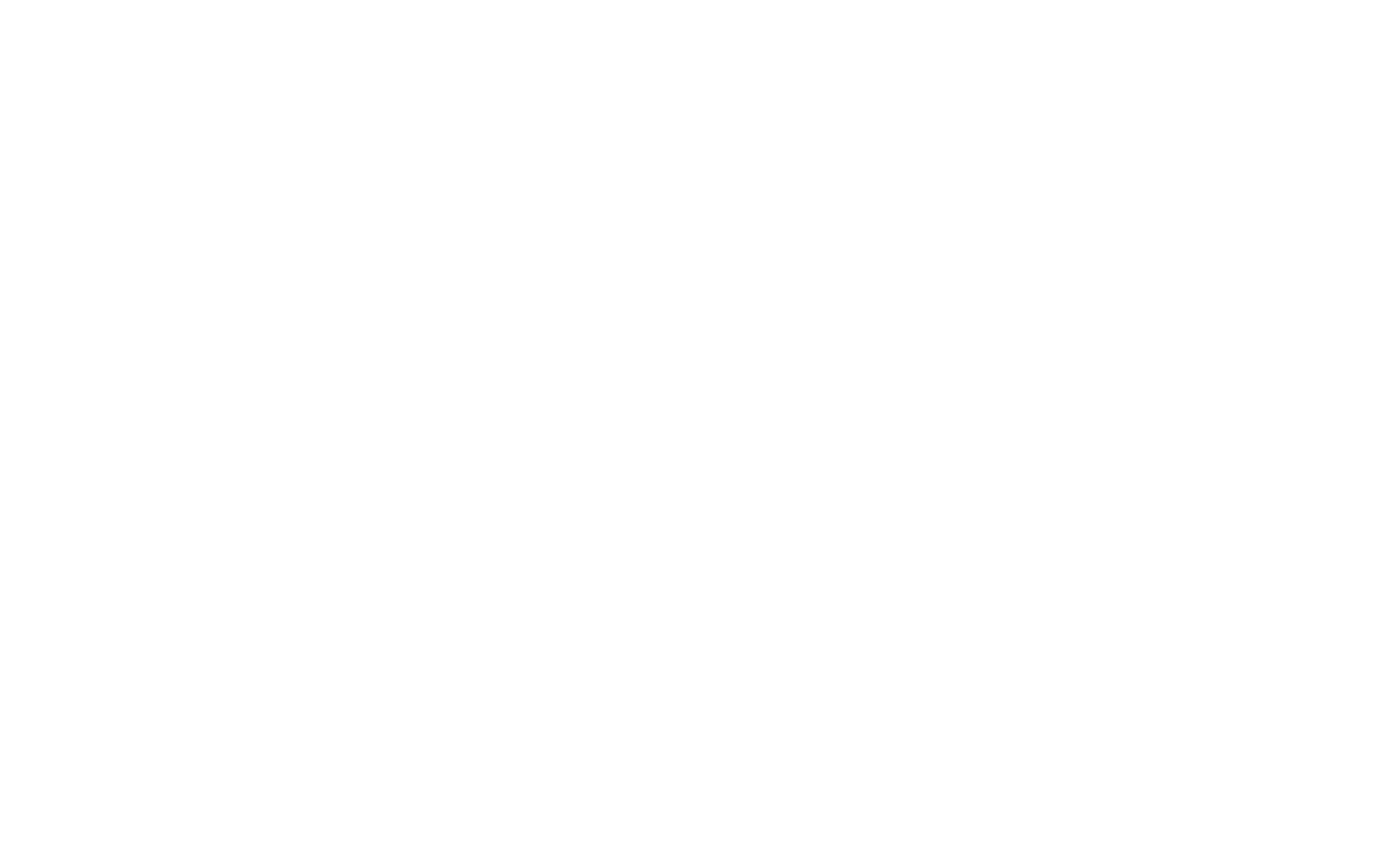 BrainDup